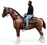 Clydesdale Horse Life Size Statue Standing