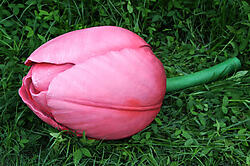 Pink Tulip Sculpture Large