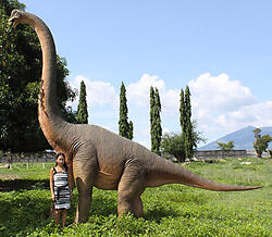 brachiosaurus dinosaur statue life size 15ft brachiosaurus size