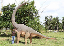 brachiosaurus dinosaur with twisting neck statue life size brachiosaurus size