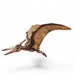 Pterodactyl Flying Life Size Statue Hanging Wings Up 6 FT