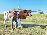Texas Longhorn Steer Life Size Statue 10 FT