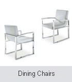 Modern Dining Chairs