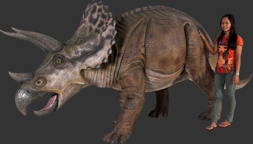 triceratops feet