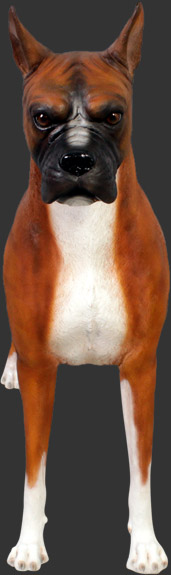 dog boxer statue