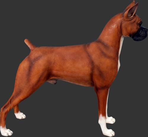 dog boxer statue