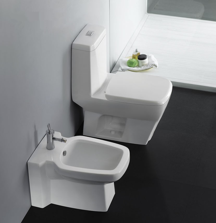 Novara Modern Bathroom Toilet 27 6 Novara Modern Bathroom Toilet 27 6