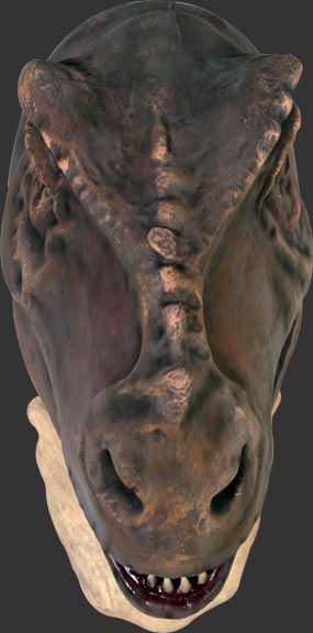 large t rex head