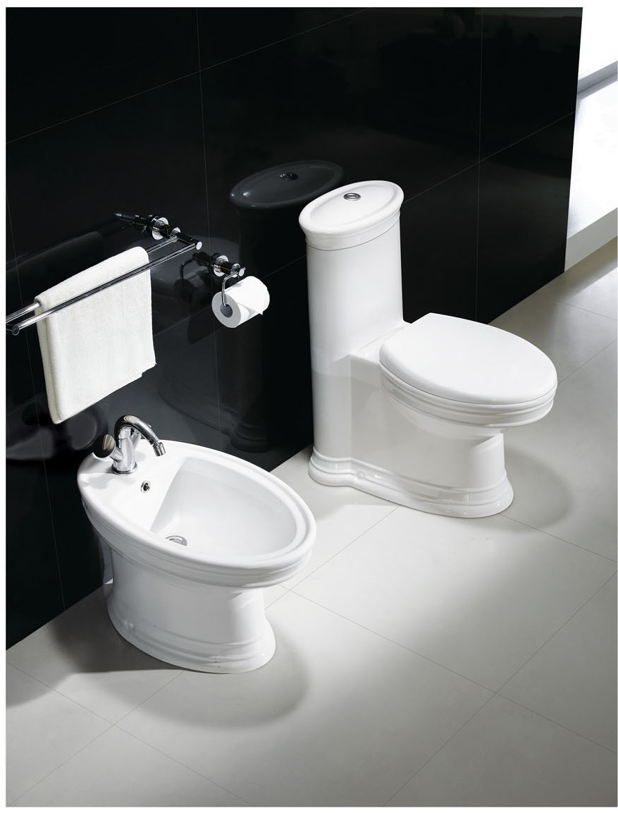 Modern Toilet Bathroom Toilet One Piece Toilet Capani