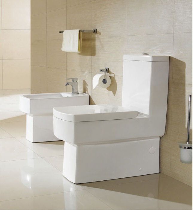 Modern Toilet Bathroom Toilet One Peice Toilet Dual Flush France