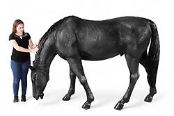 Black Stallion Horse Life Size Statue Grazing