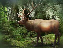 Elk Statue Real Size Museum Quality