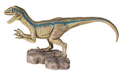 Velociraptor Dinosaur Blue Striped Life Size Statue 7 FT