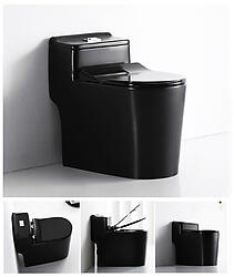 Matte Black Toilet Modern One Piece Dual Flush - Siena