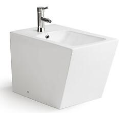 Bonfilio II Modern Bathroom Bidet 23.2