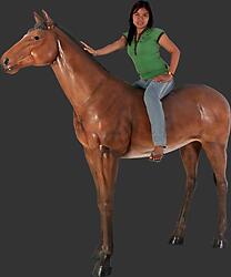 Brown Horse Life Size Statue