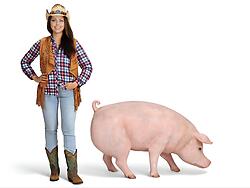 Fat Pig Statue Life Size