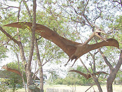 Huge Pterodactyl Flying Life Size Statue Hanging 17.8 FT