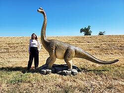 Brachiosaurus Dinosaur Statue Life Size Twisted Neck 12 FT