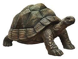 Turtle Statue Life Size - Realistic Museum Quality Indoors and Outdoors