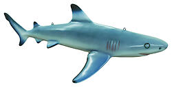 Blacktip Shark Life Size Statue Hanging 4FT