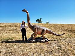 Brachiosaurus Dinosaur Statue Life Size 12 FT