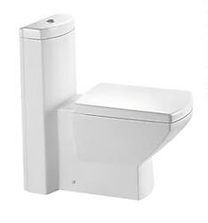 Ragusa - Dual flush Modern One Piece Toilet