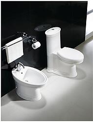 Modern Bathroom Bidet - Capani
