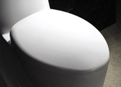 Tuscany Replacement Soft-Close Toilet Seat