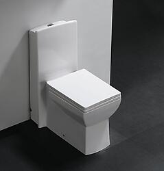 Pesaro - One Piece Dual Flush Modern Bathroom Toilet