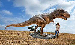 T-Rex Statue Life Size Museum Quality 20 FT