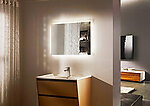 Jackeline II Backlit LED Bathroom Mirror