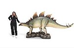 Stegosaurus Statue Life Size 13FT