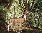 Buck Whitetail Deer Statue Real Size Museum Quality