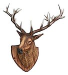 Stag Trophy Head Wall Mount