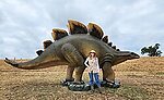 Huge Stegosaurus Statue Life Size 20FT