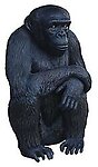 Chimpanzee with crossed arms Statue