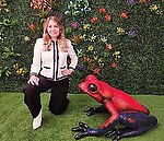 Large Red Dart Poison Frog Statue Exotic Museum Quality 3FT