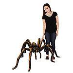 Black Spider Statue