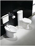 Modern Bathroom Bidet - Capani