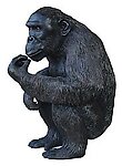 Chimpanzee Eating Statue