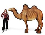Camel Statue Life Size Two Humps Bactrian