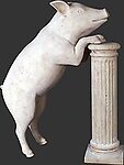 Curious Pig Statue Roman Stone Finish