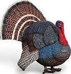 Wild Turkey Statue