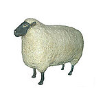 Sheep Statue - Large