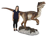 Velociraptor Statue Life Size Raptor Museum Quality 11FT