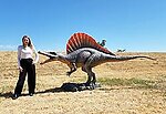 Spinosaurus Dinosaur Statue Life Size 12.4FT