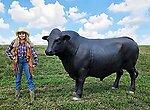 Black Angus Bull Life Size Statue Museum Quality