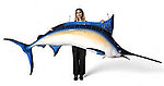 Blue Marlin Sculpture Hanging 11 FT Museum Quality