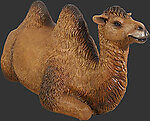 Camel Statue Sitting Life Size Statue